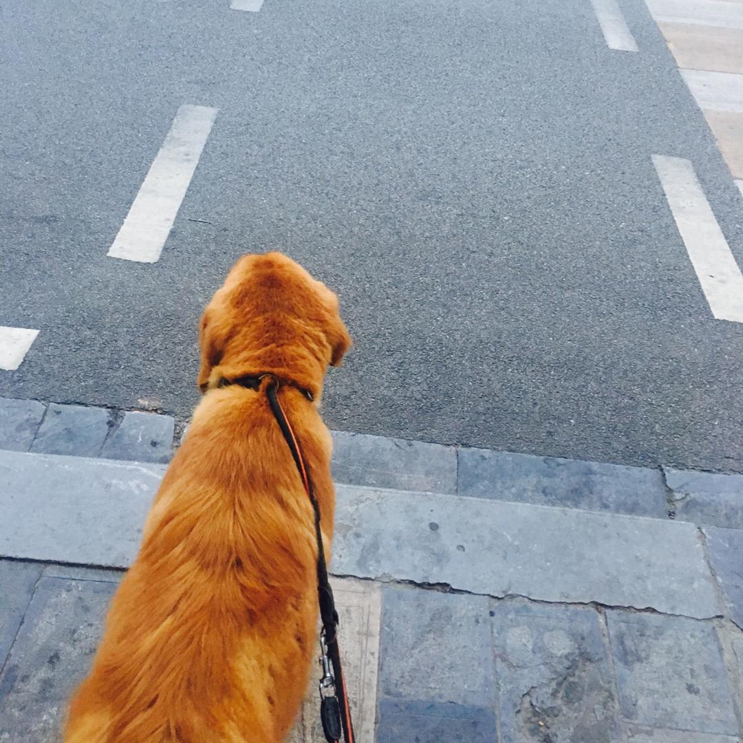 你咋知道我爱抹茶