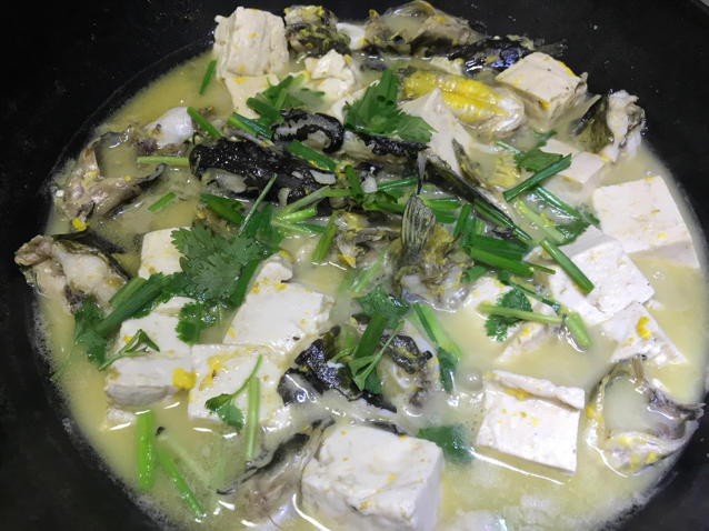 黄刺鱼炖豆腐