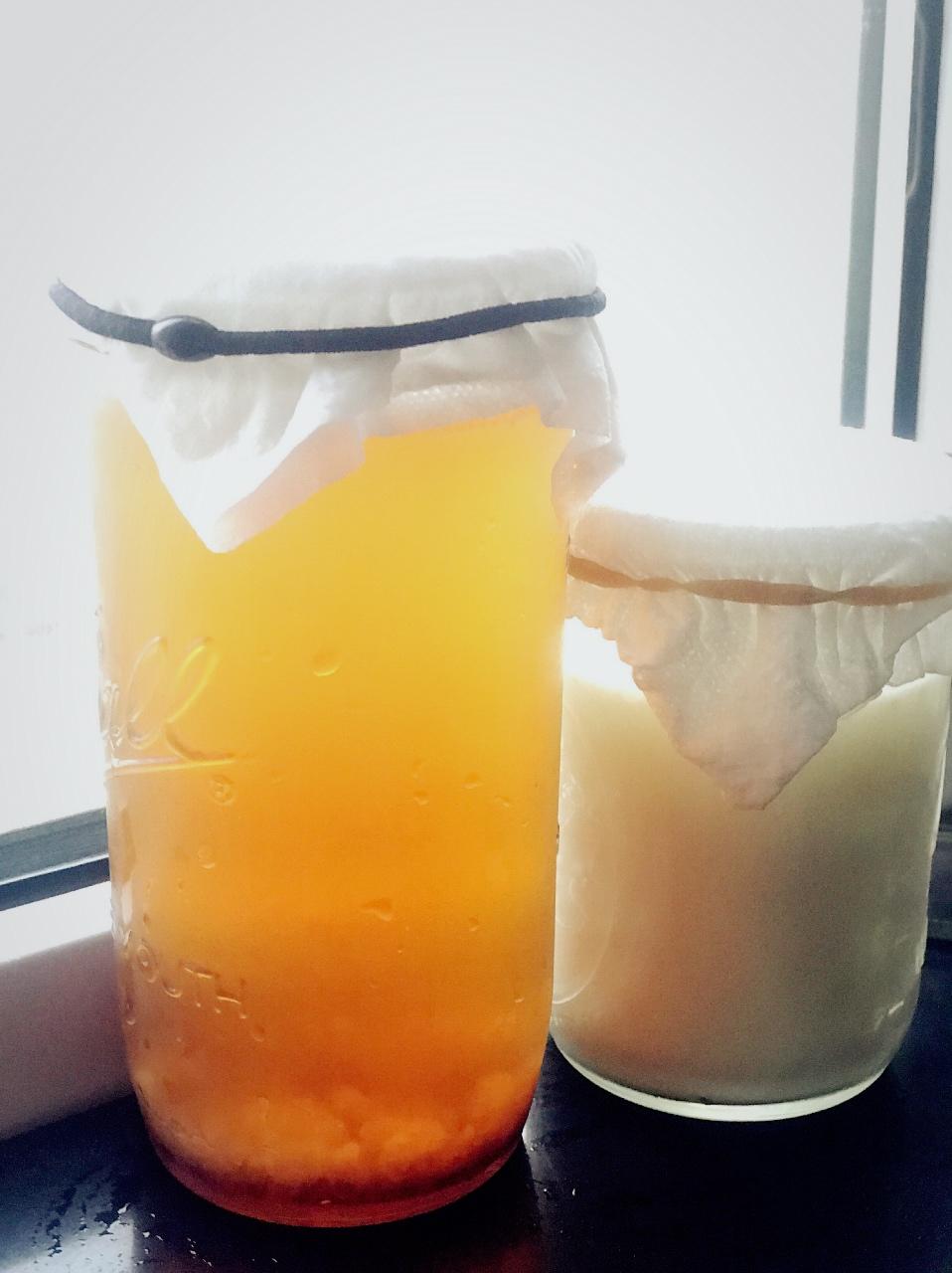 开菲尔酸奶喂养详攻略（milk kefir）丨发酵·奶类