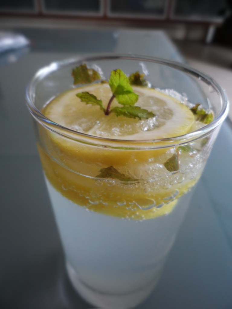 柠檬薄荷苏打水