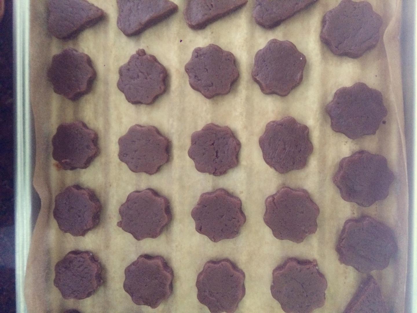 巧克力小饼干的做法 步骤11