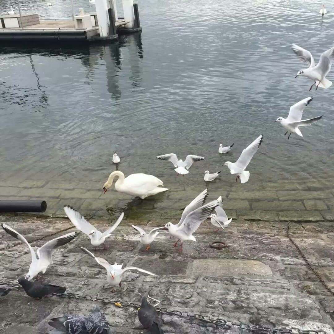 手机用户8966_s9q5