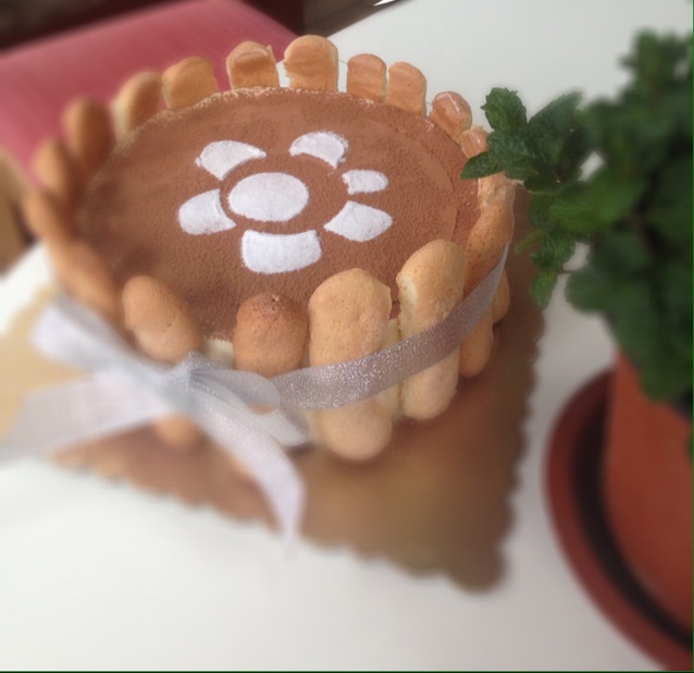 《Tinrry+》提拉米苏