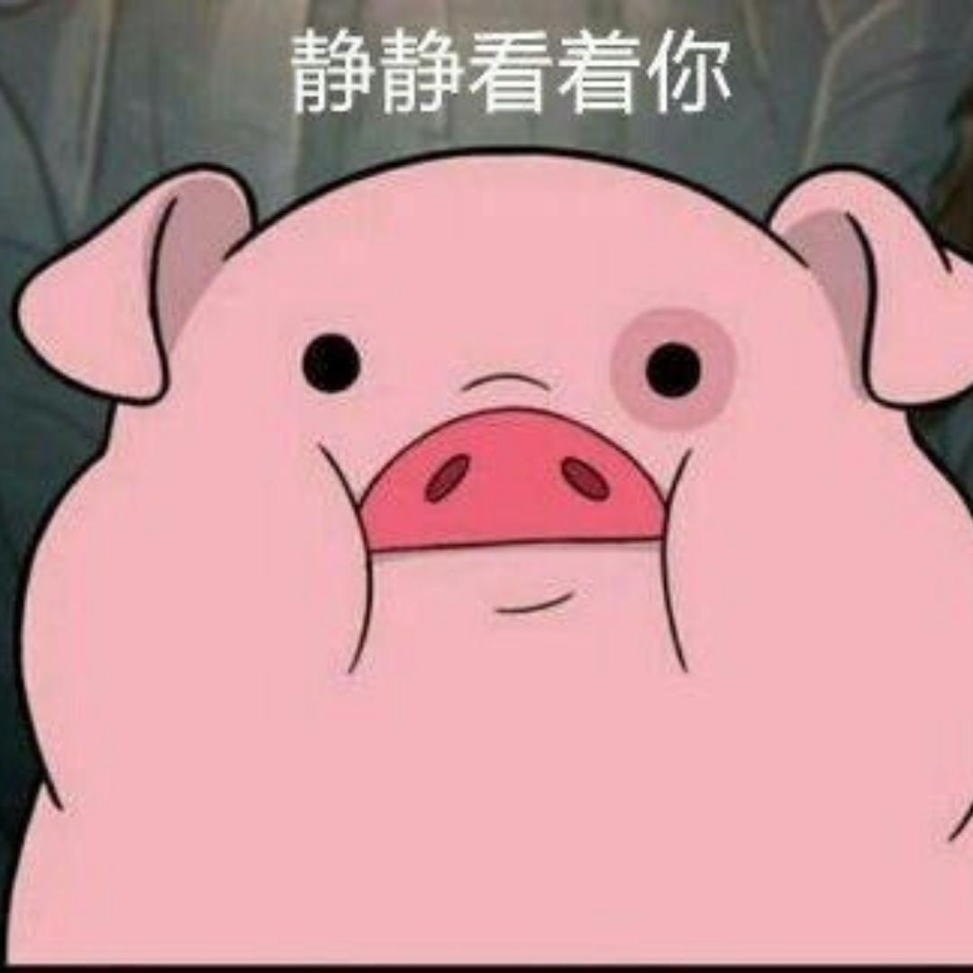 爱吃火锅的小榴莲