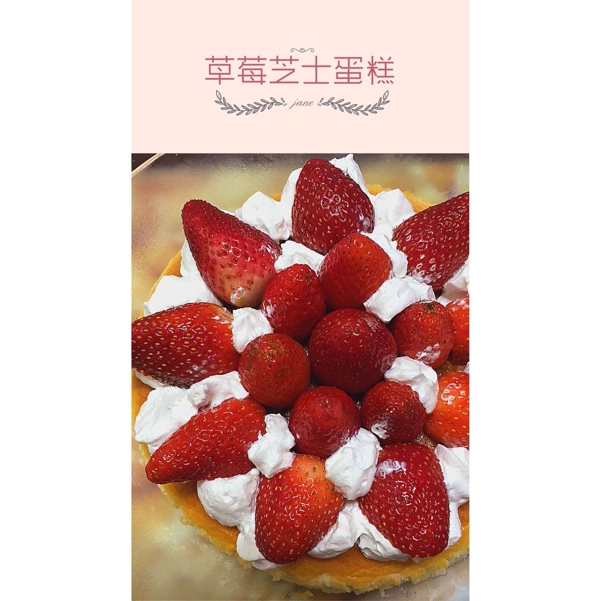 轻乳酪芝士蛋糕6寸#皮黑森林#