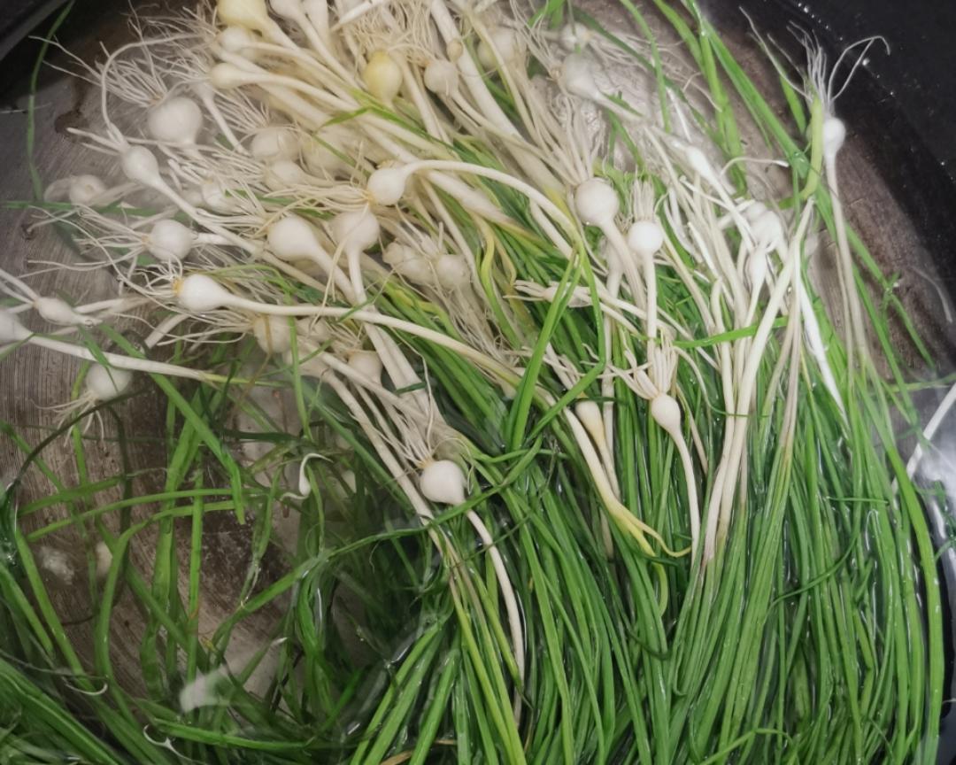 三姐的情怀—沙葱炒蛋