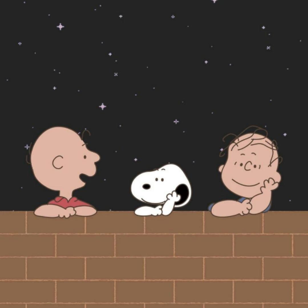 你个傻猪黎噶的厨房