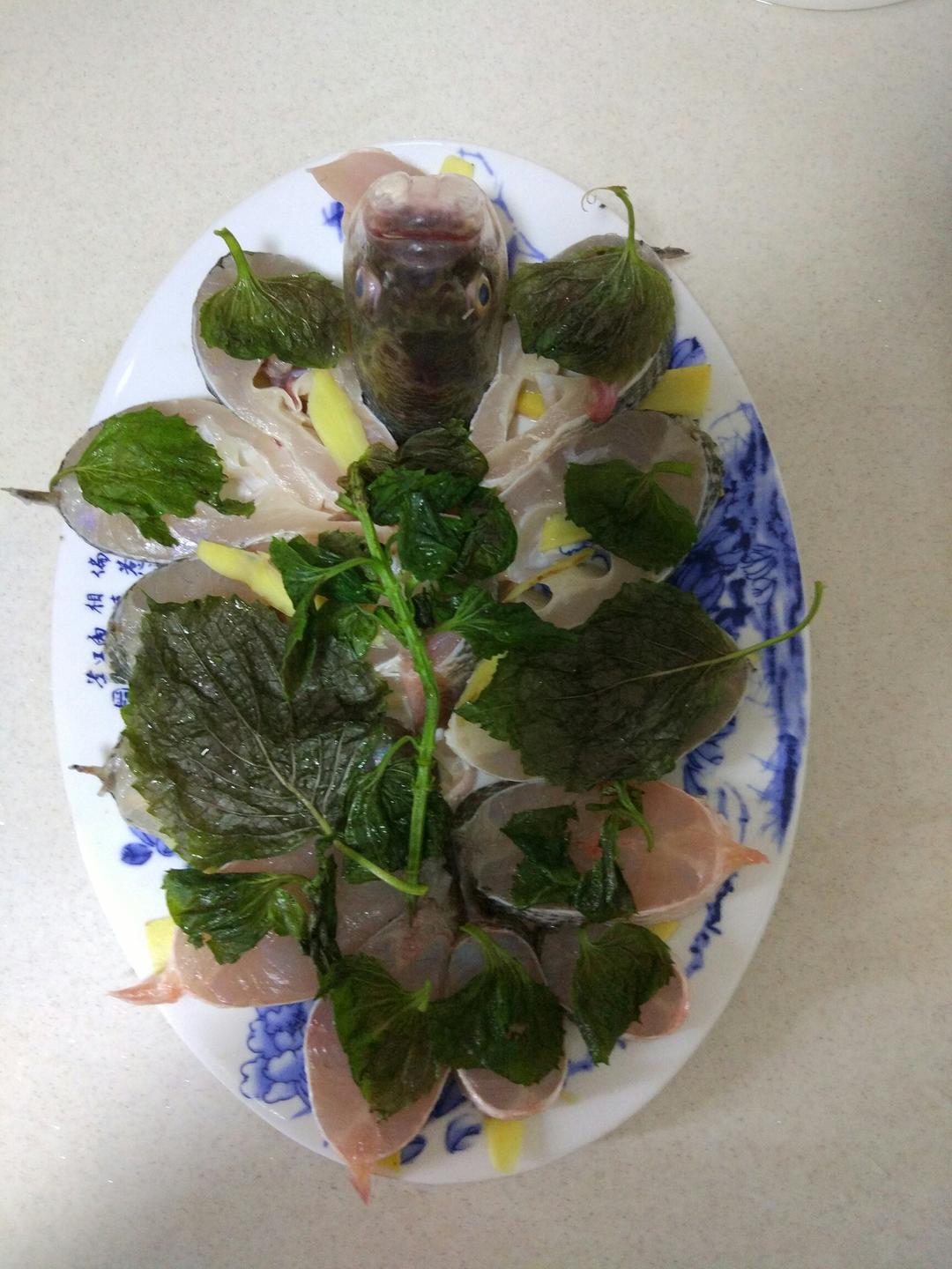 超入味清蒸鱼～清蒸鲈鱼桂花鱼（家常独创）