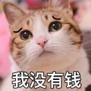 我的wink