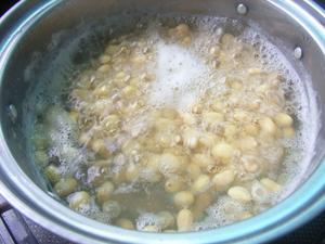 原味无渣豆浆--营养一整天的做法 步骤2