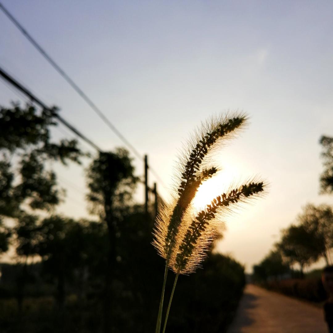 手机用户8234_skj4