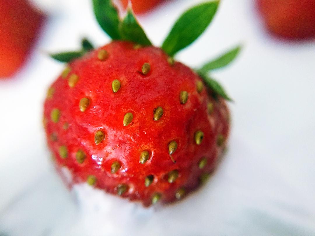 食材