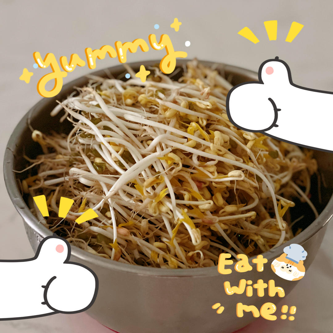 自发绿豆芽/自生豆芽/自制豆芽