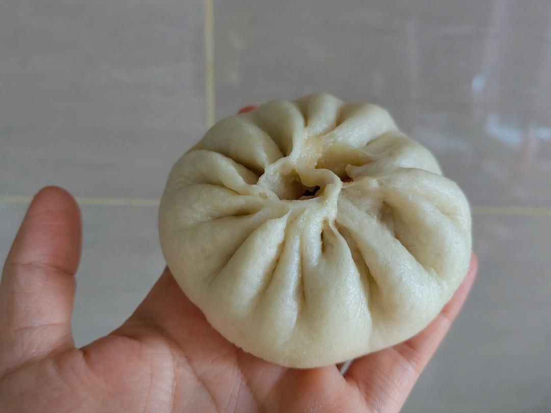 一次发酵肉包子
