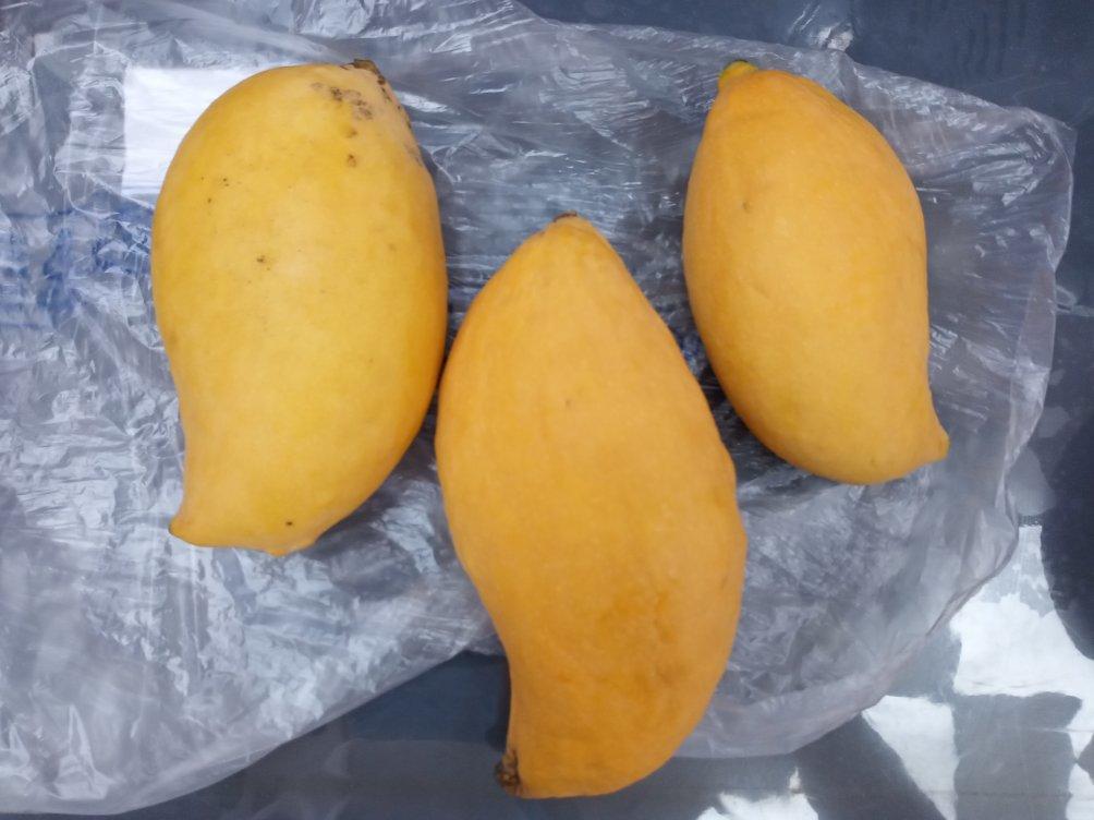 小餐包 | 成本几块钱，出炉即抢空