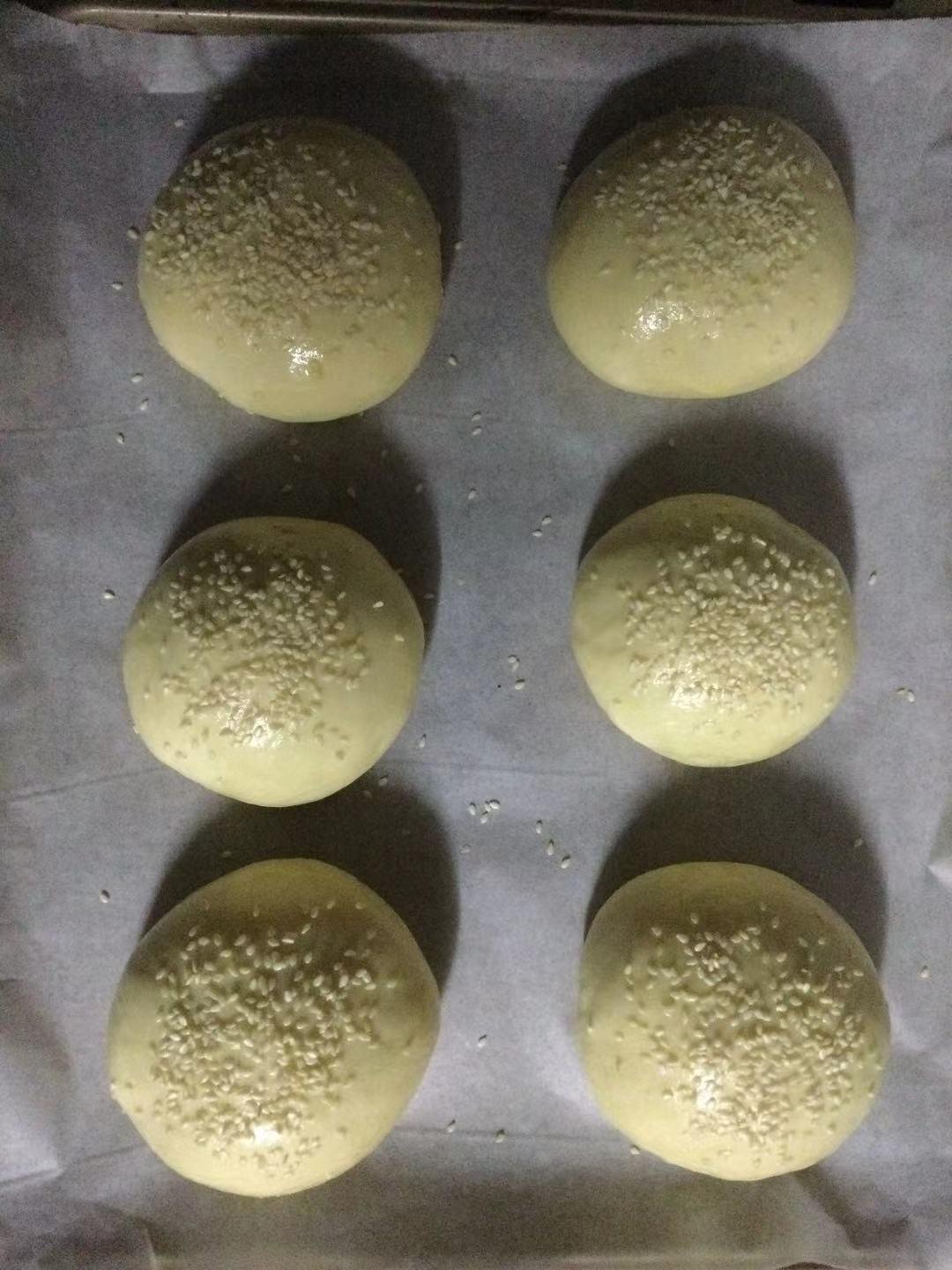 汉堡包胚学习记录帖