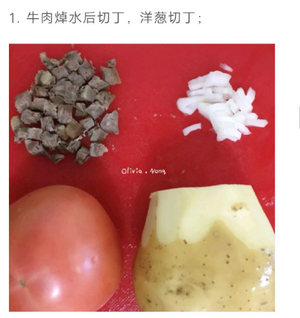 西红柿土豆牛肉盖浇饭的做法 步骤2