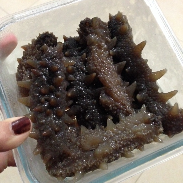 海参泡发攻略
