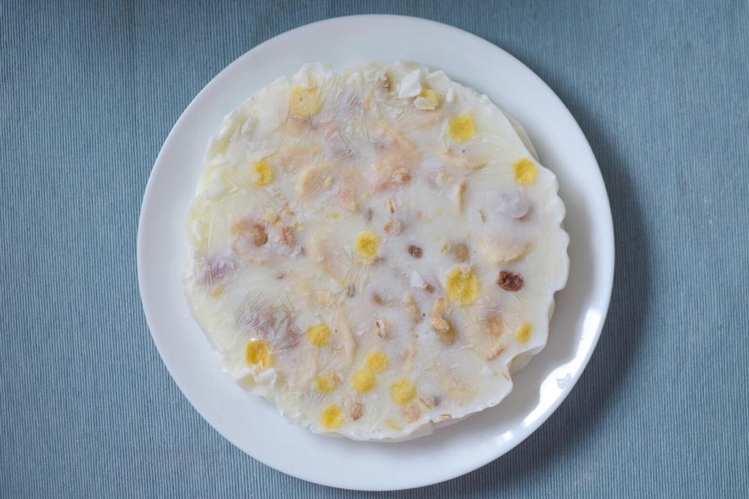 酸奶水果薄脆Yogurt Fruits Bar