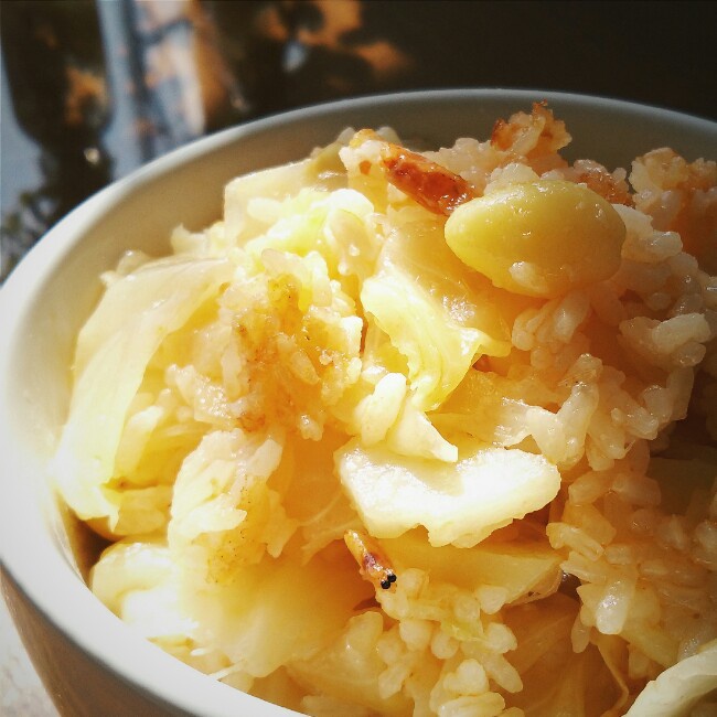 电饭锅虾酱圆白菜焖饭