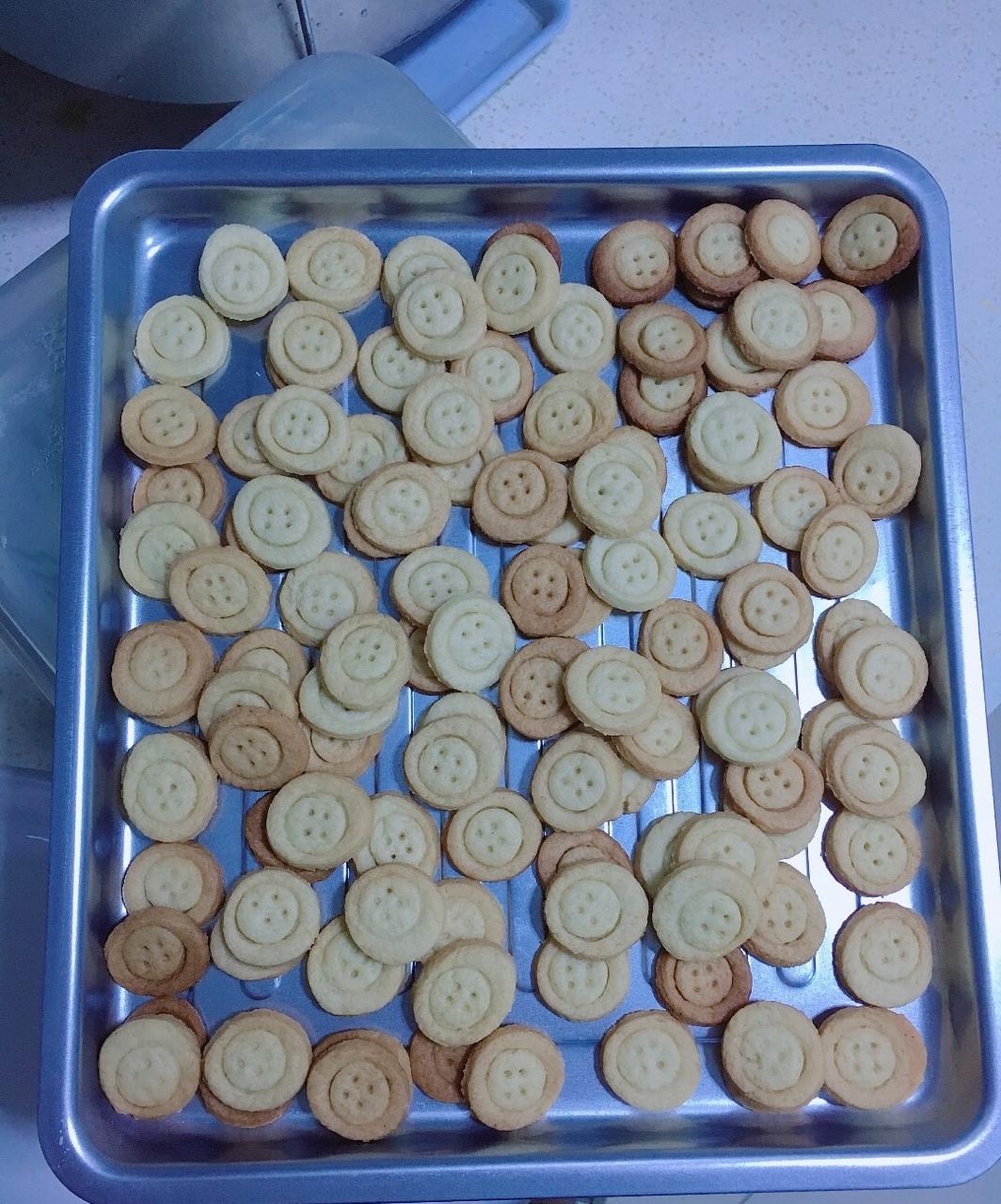 纽扣饼干┃萌到没朋友
