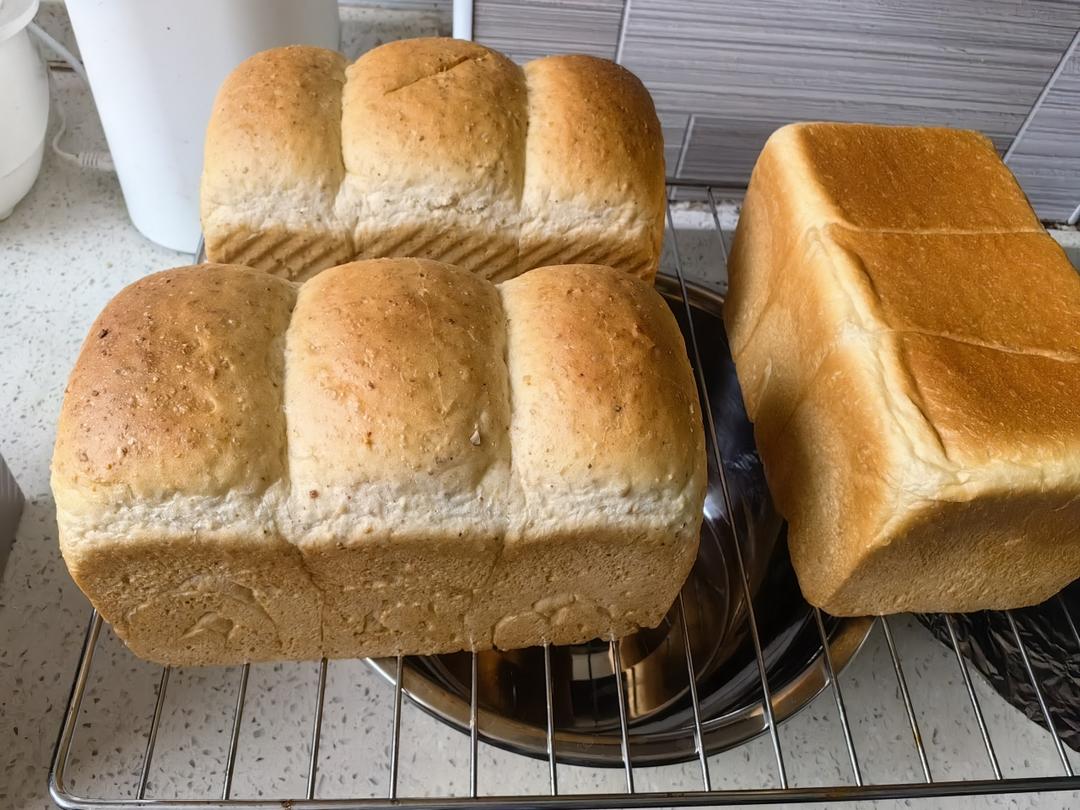 波兰种牛奶吐司