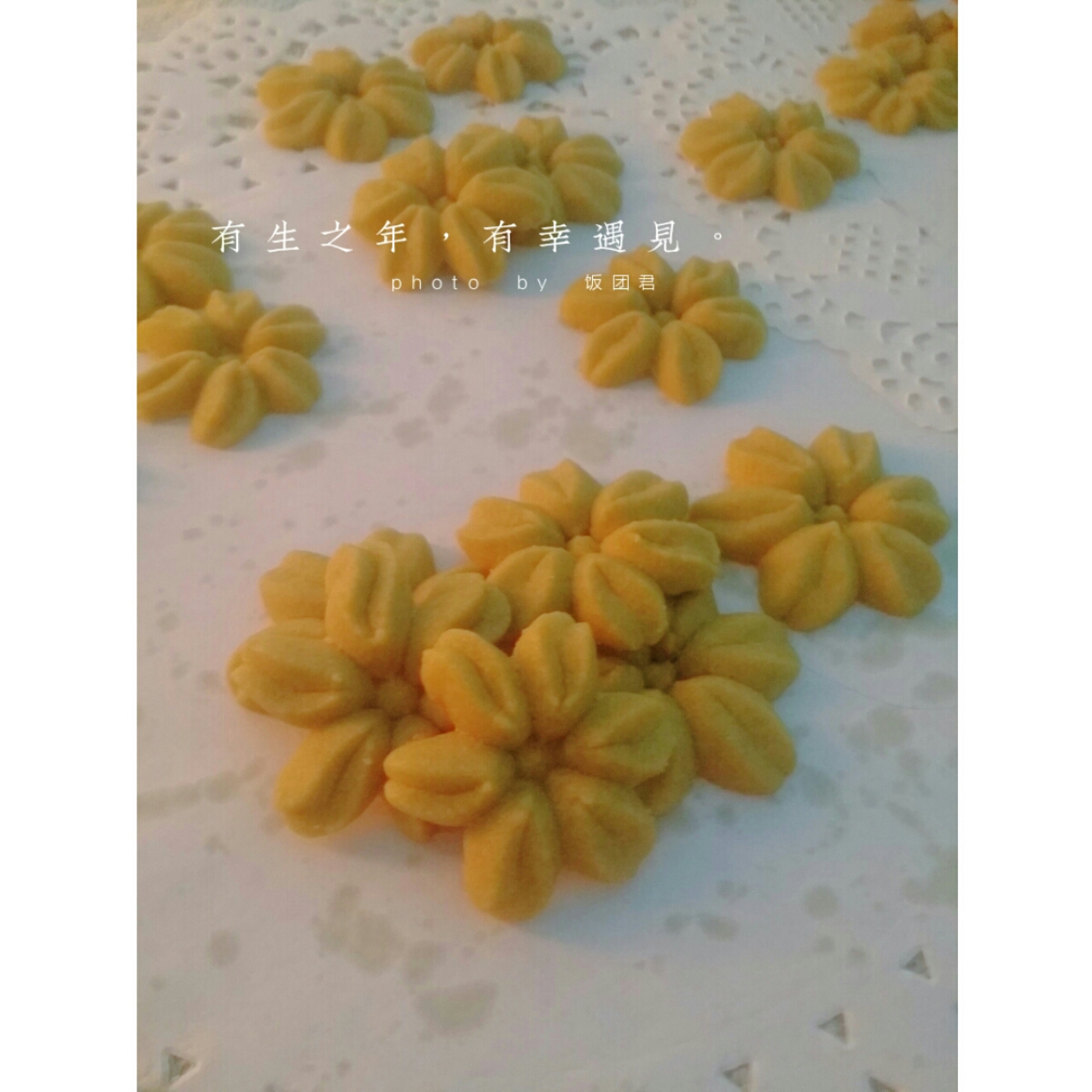 抹茶樱花曲奇——淡淡的抹茶清香