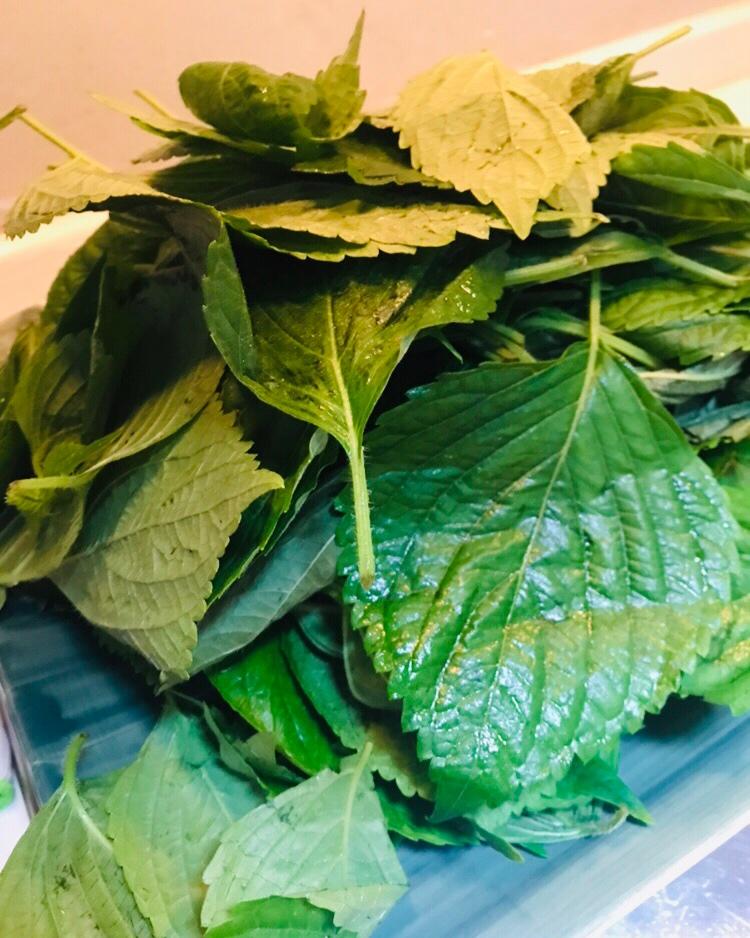 韩式酱油苏子叶
