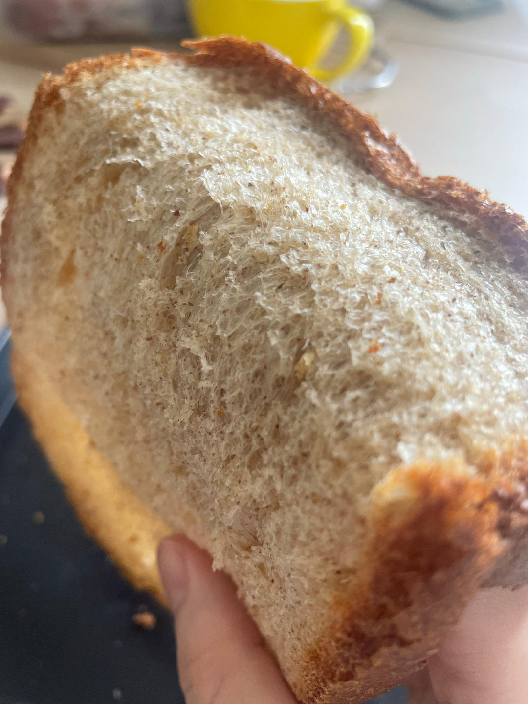 全蛋奶香粗粮面包