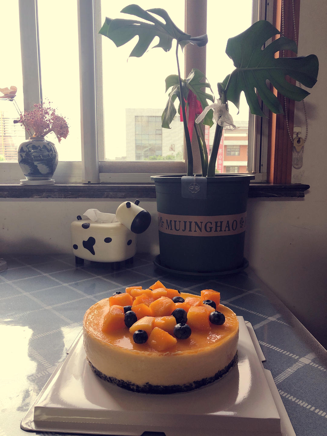 【视频】芒果慕斯（6寸） | 含镜面果胶配方