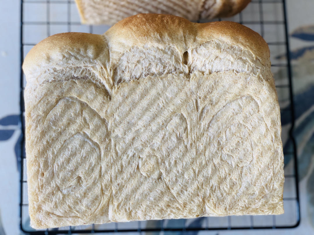 双种芝麻全麦吐司 100%全麦 烫种+波兰种