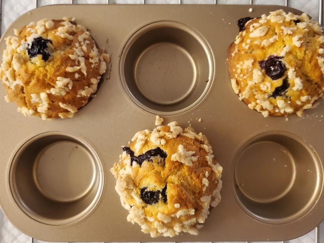 蘑菇头蓝莓麦芬