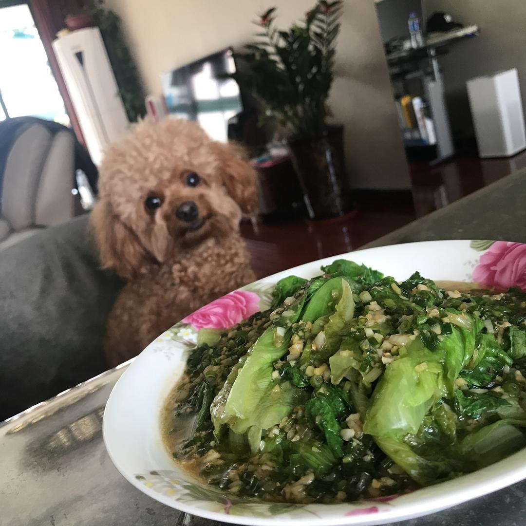 家常菜 蚝油生菜