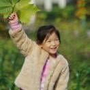 陌上花开已存在