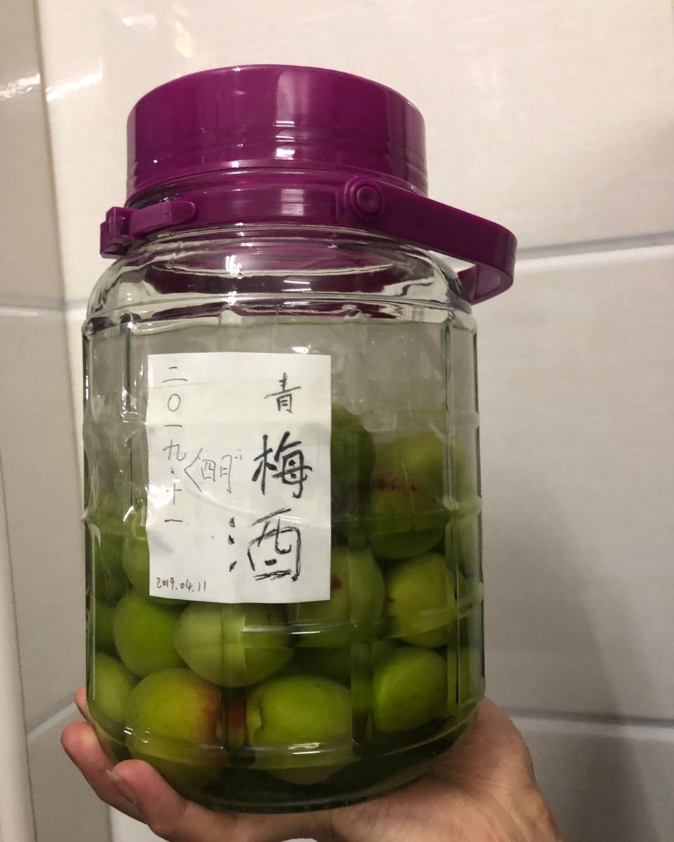 超详细·青梅酒