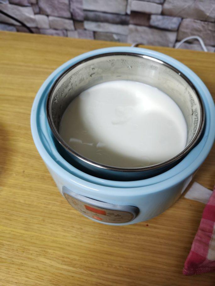 卡士酸奶在家做