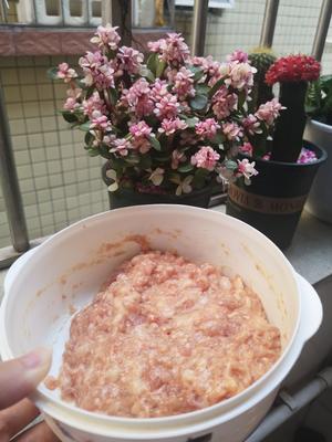 酿 青椒 豆腐 茄子的做法 步骤2