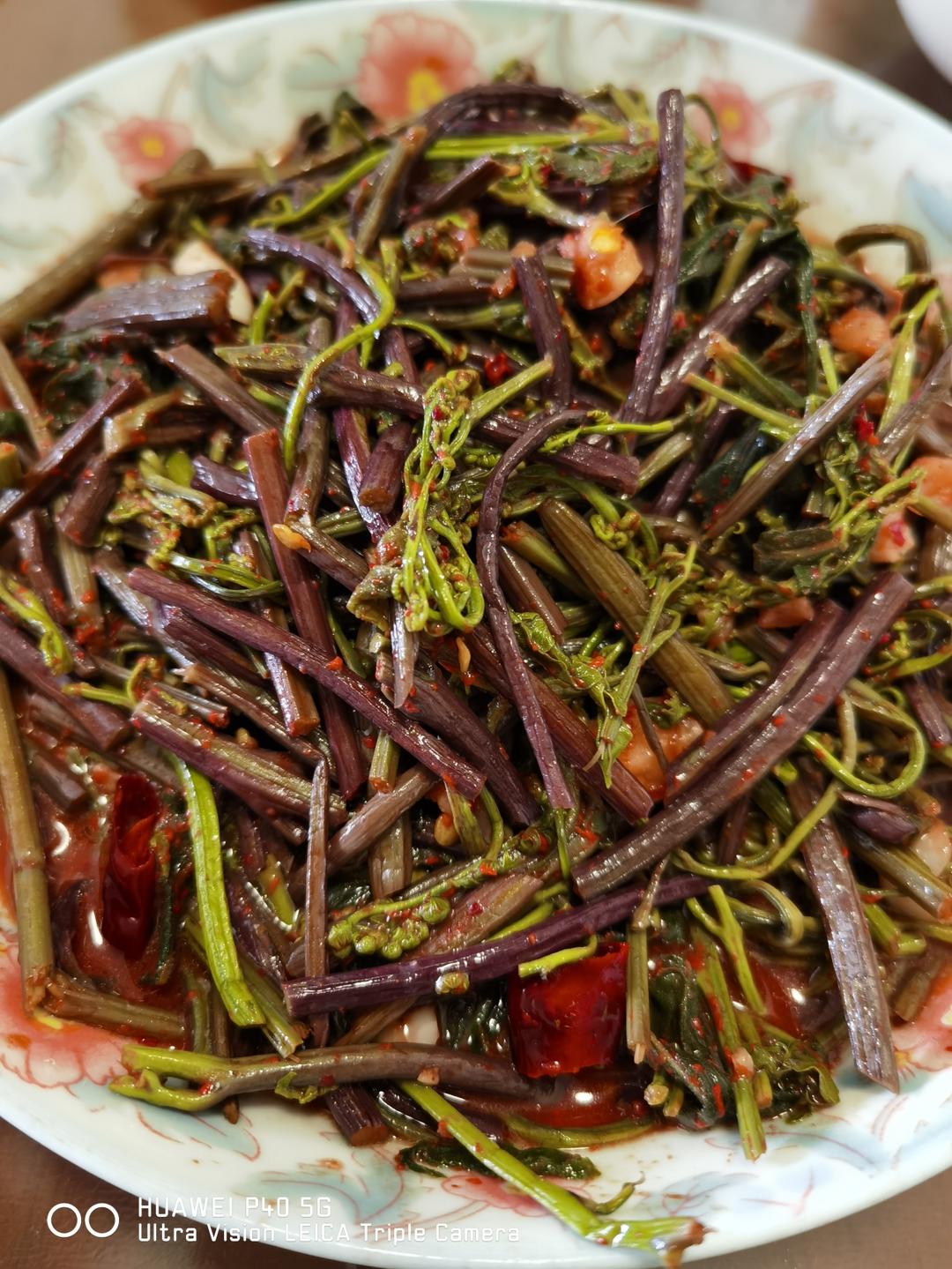 酒糟蕨菜