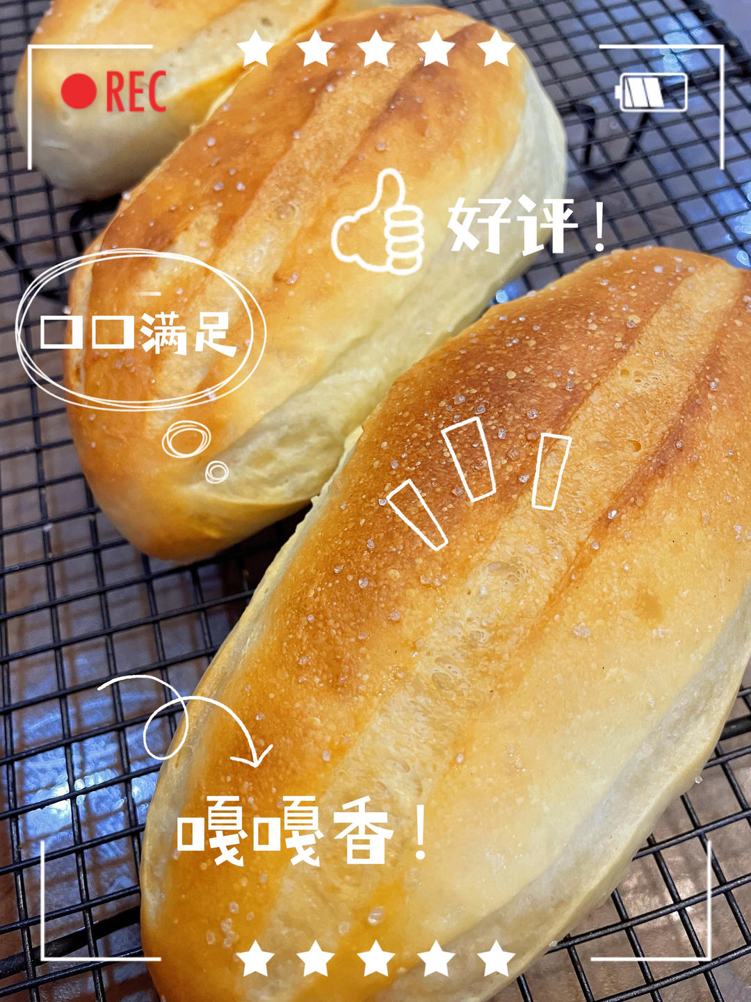 牛奶哈斯