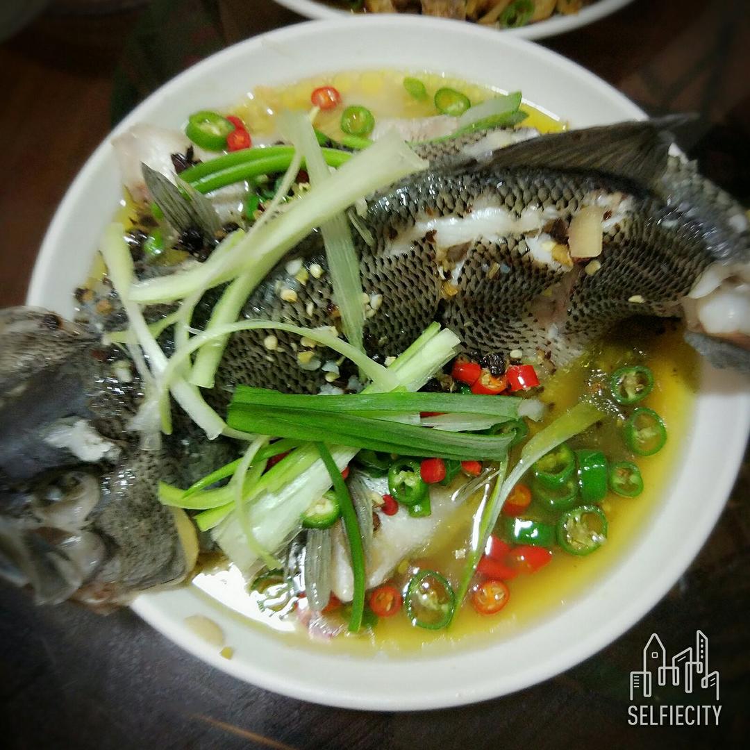 超入味清蒸鱼～清蒸鲈鱼桂花鱼（家常独创）