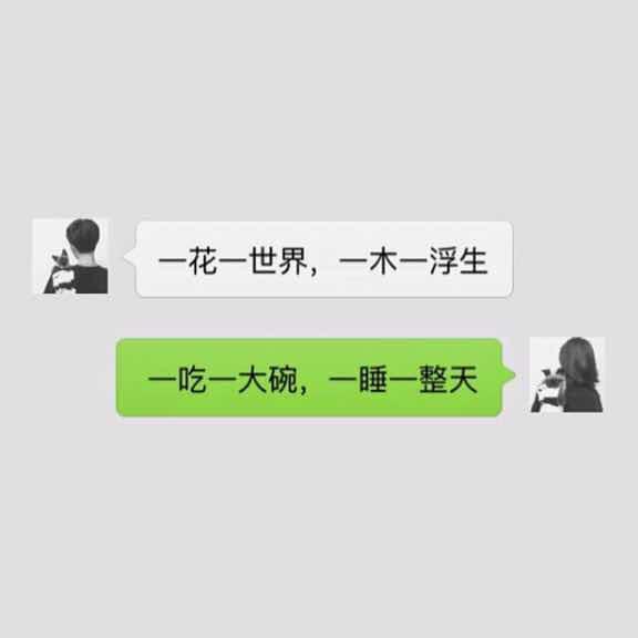 钱包包q