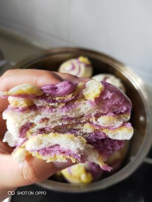 紫薯南瓜馒头【豆沙包】的做法 步骤15