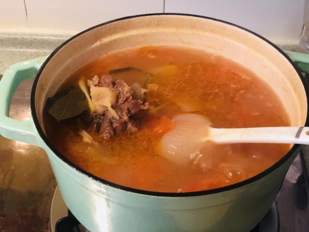 番茄牛尾汤--Staub珐琅铸铁锅