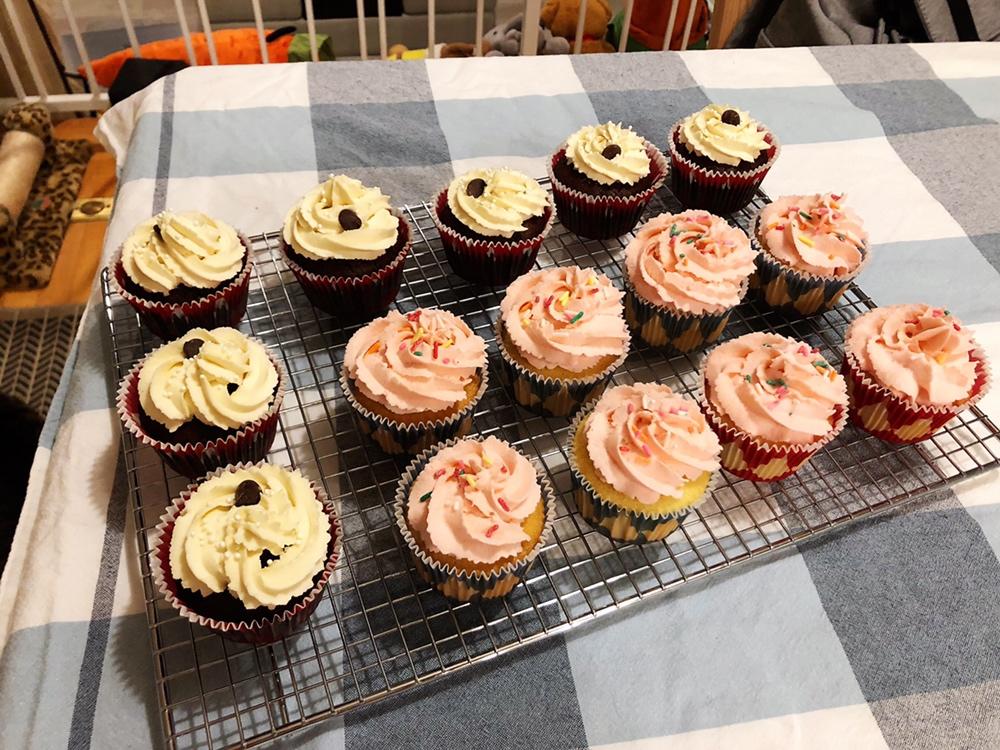 古典巧克力cupcake配马斯卡彭奶油霜
