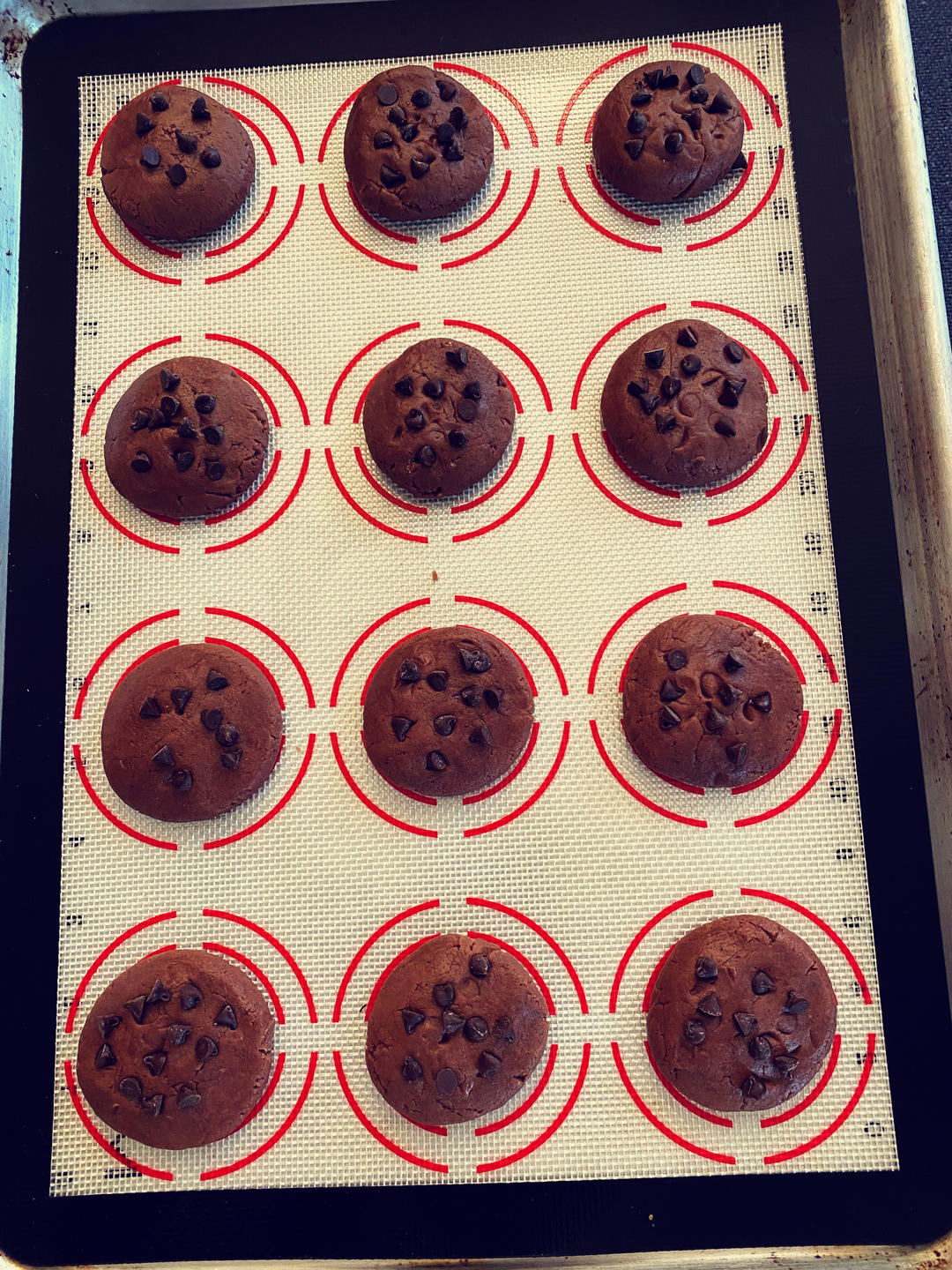 🍪巧克力曲奇｜免打发❗️零失败一次成功❗️