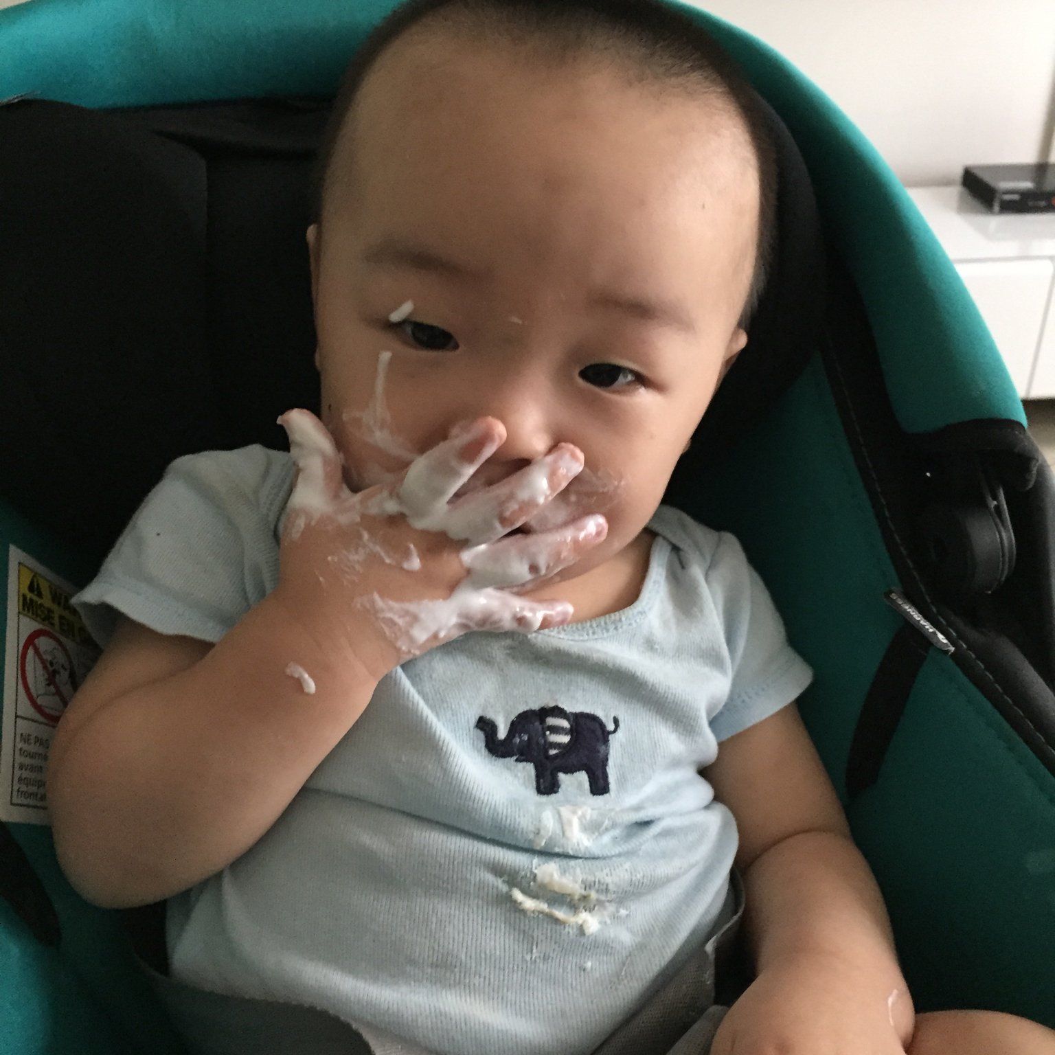 Ollie的辅食