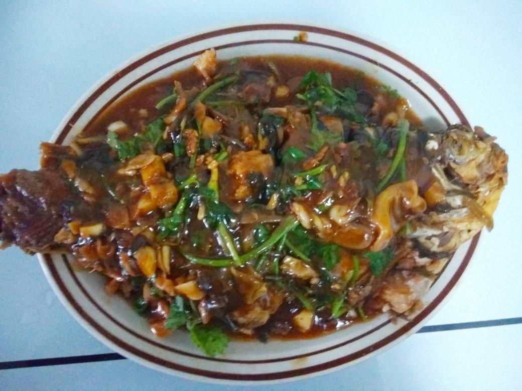 红烧糖醋鲤鱼