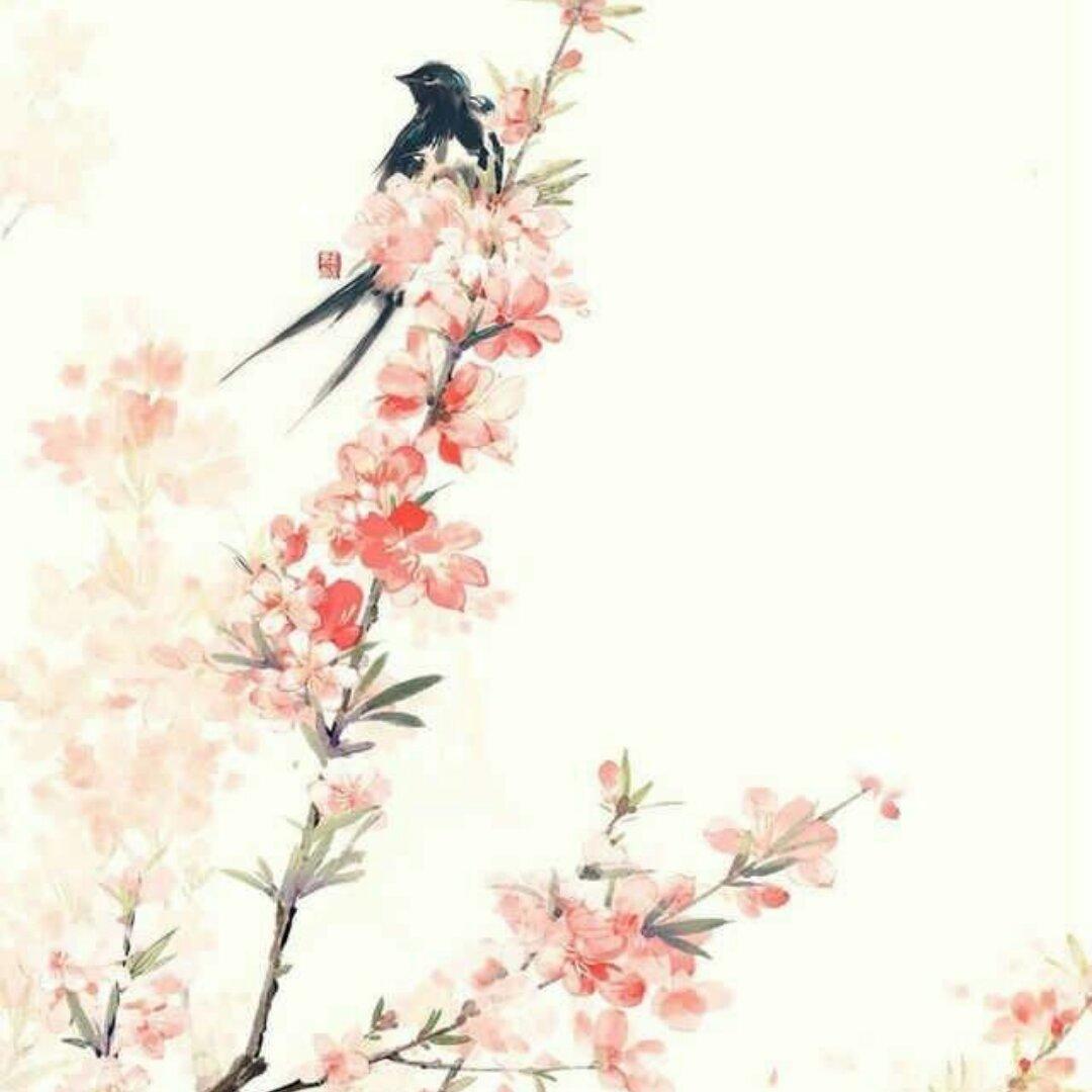 荼_