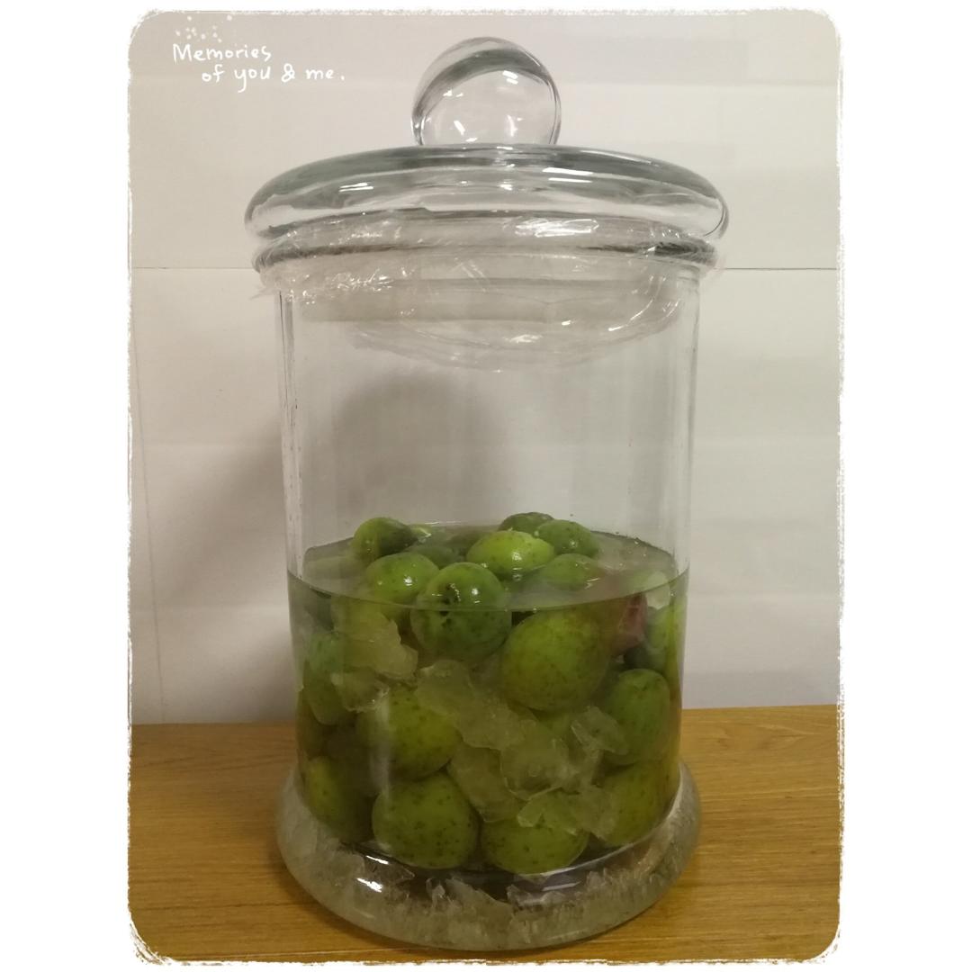 青梅酒（优的春日私酿第二話）