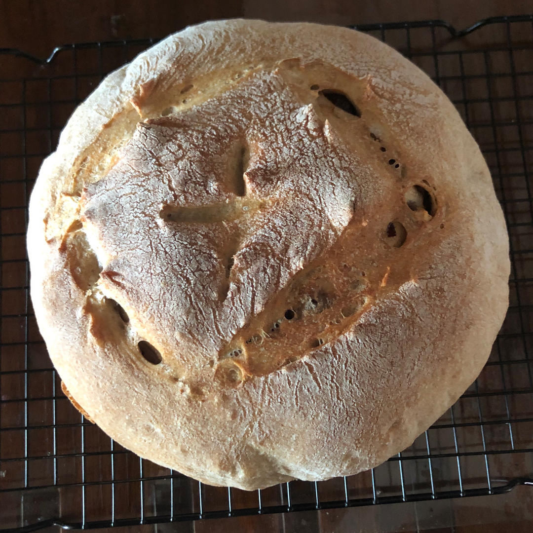 德国婆婆秘方·只多一料·香得上天的全麦核桃蔓越欧包